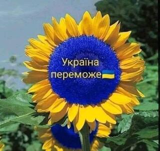 06021pn3-de8d-320x301.jpg