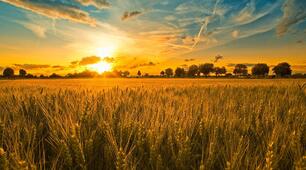 8 кл Діагностична контрольна Галицьке-Волинське князівство 