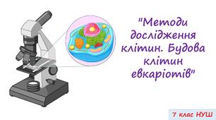"Методи дослідження клітин. Будова клітин евкаріотів"  7 кл. НУШ