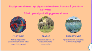 Презентація до уроку "Біорізноманіття нашої планети його рівні організації."