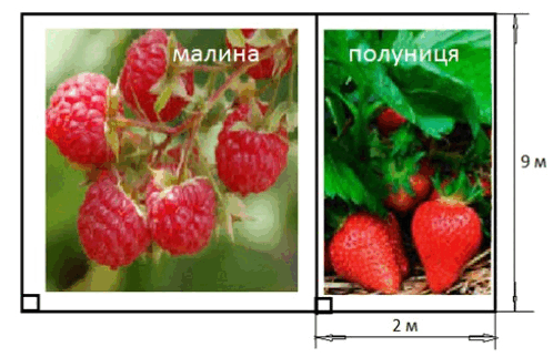 060226qk-c3db-498x322.png