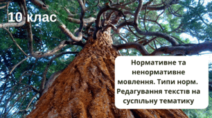 Урок "Нормативне та ненормативне мовлення. Типи норм. Редагування текстів на суспільну тематику"