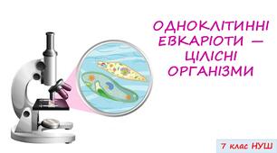 Узагальнення "ОДНОКЛІТИННІ ЕВКАРІОТИ — ЦІЛІСНІ ОРГАНІЗМИ" 7 кл. НУШ 