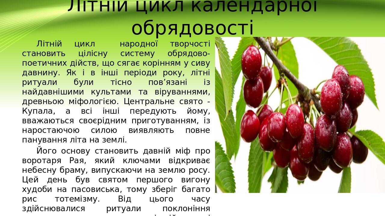 Літній цикл календарної обрядовості Літній цикл народної творчості становить цілісну систему обрядово-поетичних дійств, що сягає корінням у сиву да...