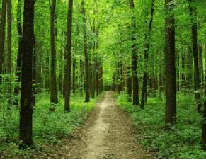 06022gnv-02d6-291x226.png