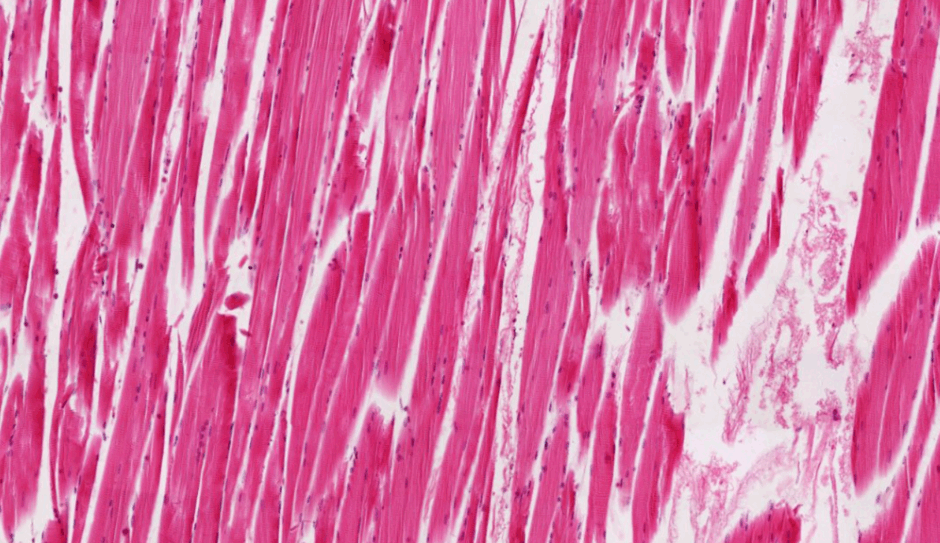 06022l47-de8e-940x543.png