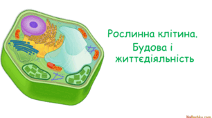 Робочий аркуш до теми: "Клітина"