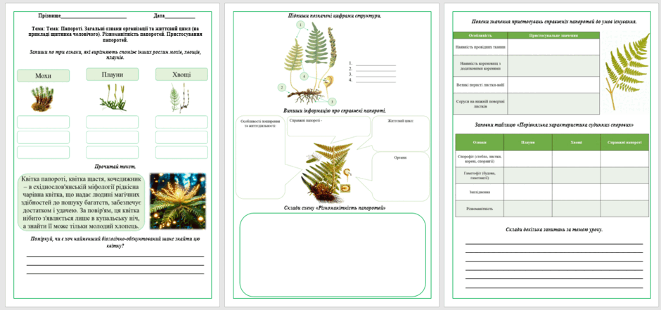 06022nx0-88eb-940x441.png