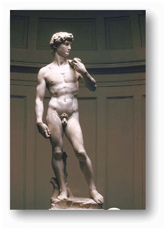 06022qyl-1455-531x737.png