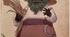 Презентація до уроку на тему "Дара Корній "Польовик""