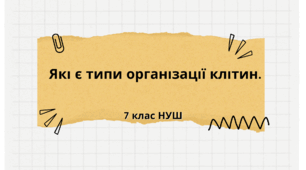 Які є типи організації клітин.НУШ