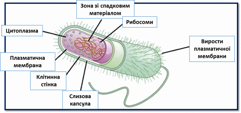 06022wgp-482a-940x442.png