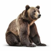 Premium Photo | Image of a bear isolated on white background generative AI