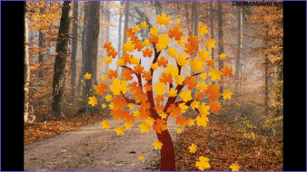 06022xuh-e3a5-338x190.png