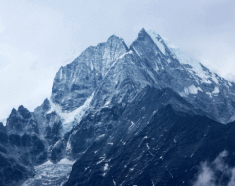 06022yux-c788-459x364.png