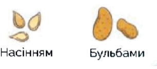 060231lu-e6b6-306x135.png