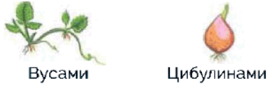 060231m2-b56d-394x142.png