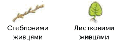 060231m7-7272-427x161.png