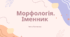 Презентація "Морфологія. Іменник"