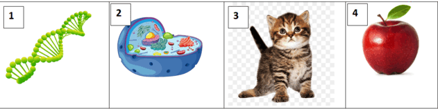 060232jq-6bb5-631x158.png