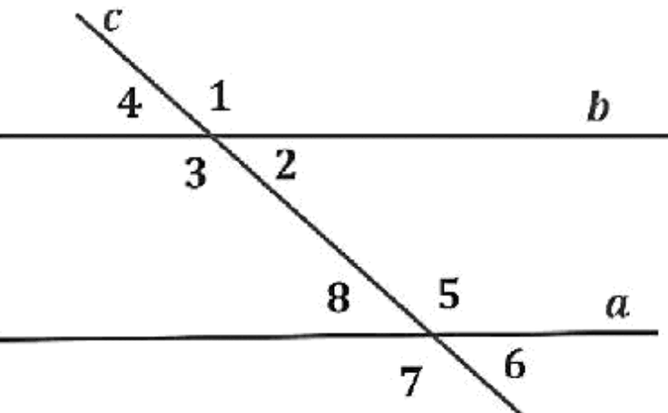 0602369u-8af3-736x456.png