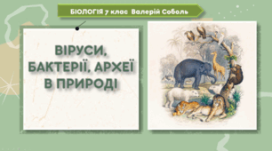 7 клас НУШ.   ВІРУСИ, БАКТЕРІЇ, АРХЕЇ В ПРИРОДІ