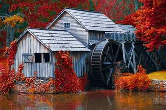 060237q6-c8c7-339x226.jpg