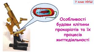 Презентація на тему: "Особливості будови клітини прокаріотів та їх процесів життєдіяльності" 7 кл. НУШ