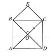 060238wt-a009-218x230.png