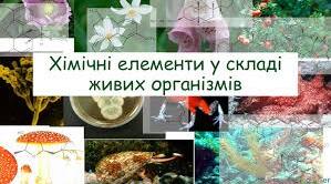 Вода. Неорганічні речовини організмів.