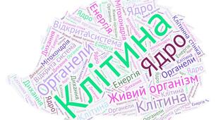 Унікальні та цікаві факти про клітини живих організмів