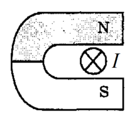 06023cyg-3114-288x253.png