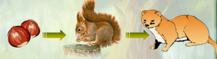 06023f3u-7d8b-423x115.png
