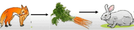 06023f5p-834e-538x122.png