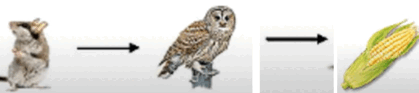 06023f7g-8bc9-737x164.png