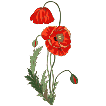 06023i5y-5f27-350x350.png