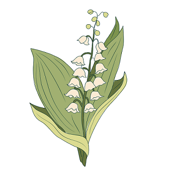 06023i5z-2f4a-350x350.png