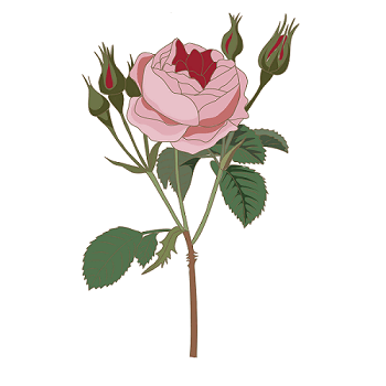 06023i62-6d86-350x350.png