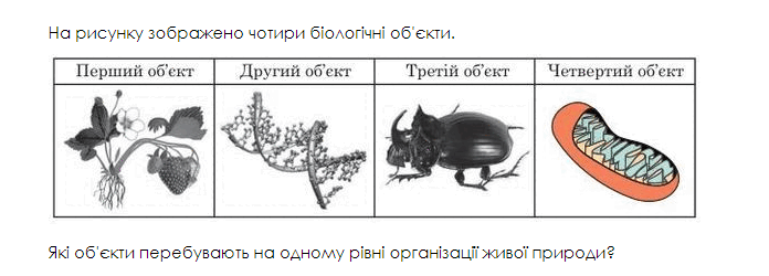 06023itt-35d4-696x250.png