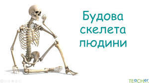  Опорно-рухова система