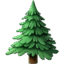 🌲