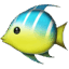 🐠