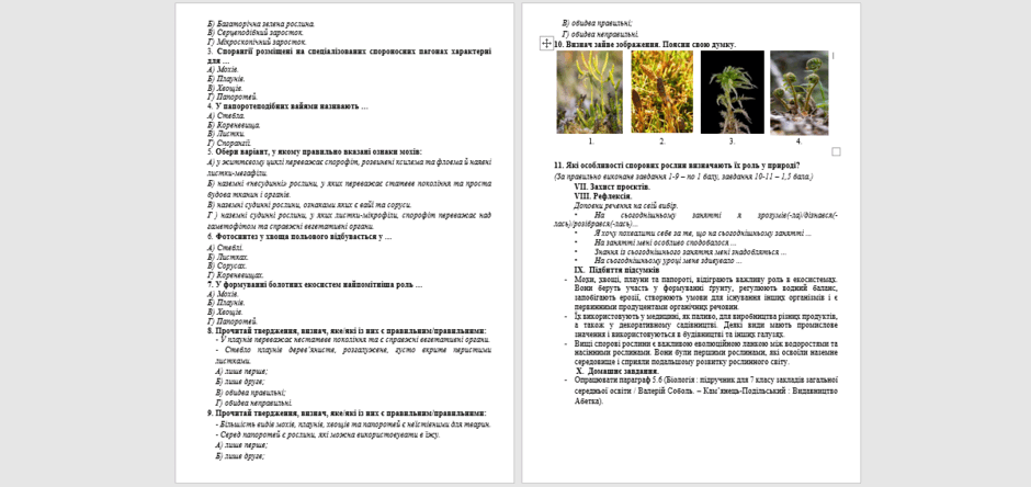 06023lo8-ba6e-940x444.png