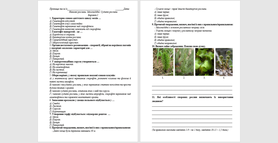 06023lok-efd9-940x484.png