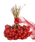 06023na5-c501-117x138.png