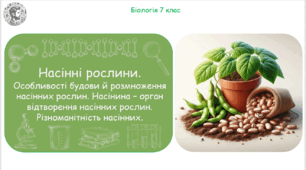 Урок на тему "Насінні рослини. Особливості будови й розмноження насінних рослин. Насінина – орган відтворення насінних рослин. Різноманітність насінних" (Конспект, презентація, робочі аркуші)