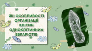 7 клас НУШ. Які особливості організації клітин одноклітинних евкаріотів
