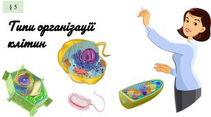 Презентація "Які є типи організації клітин"