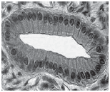 06023p94-e73d-154x129.png