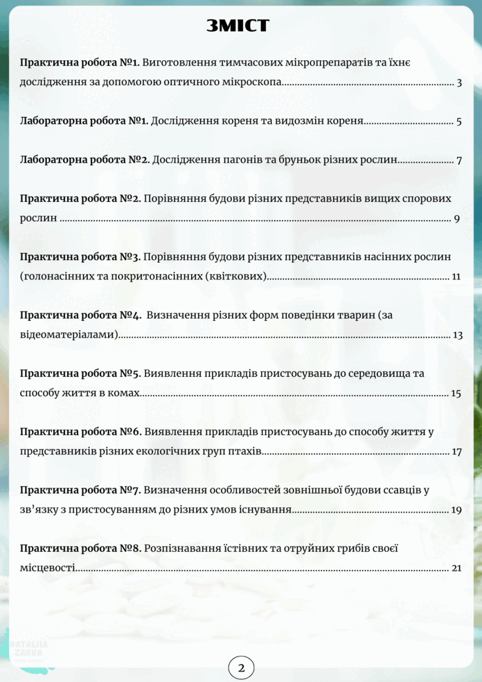 06023px2-755d-696x986.png